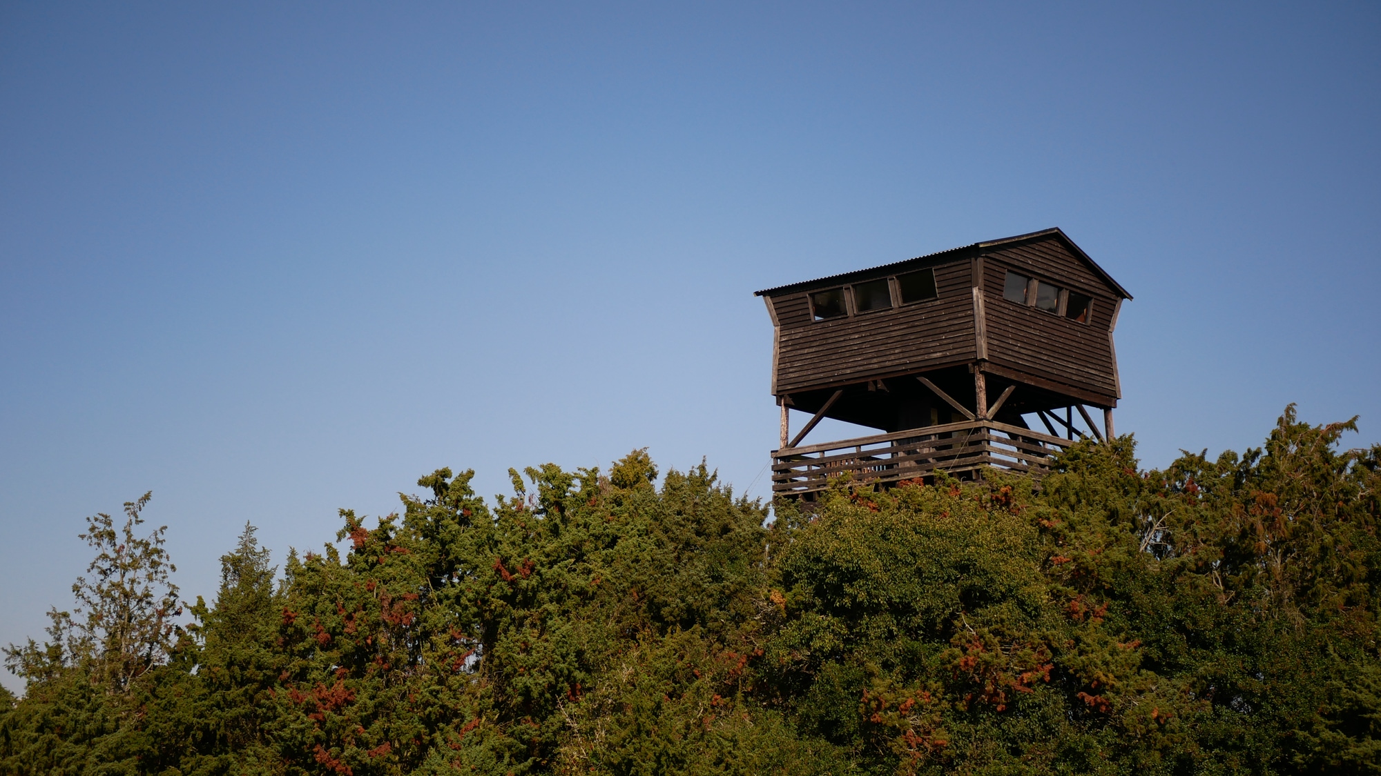 A photo taken at Svensksundsviken Naturreservat in Norrköpings kommun.