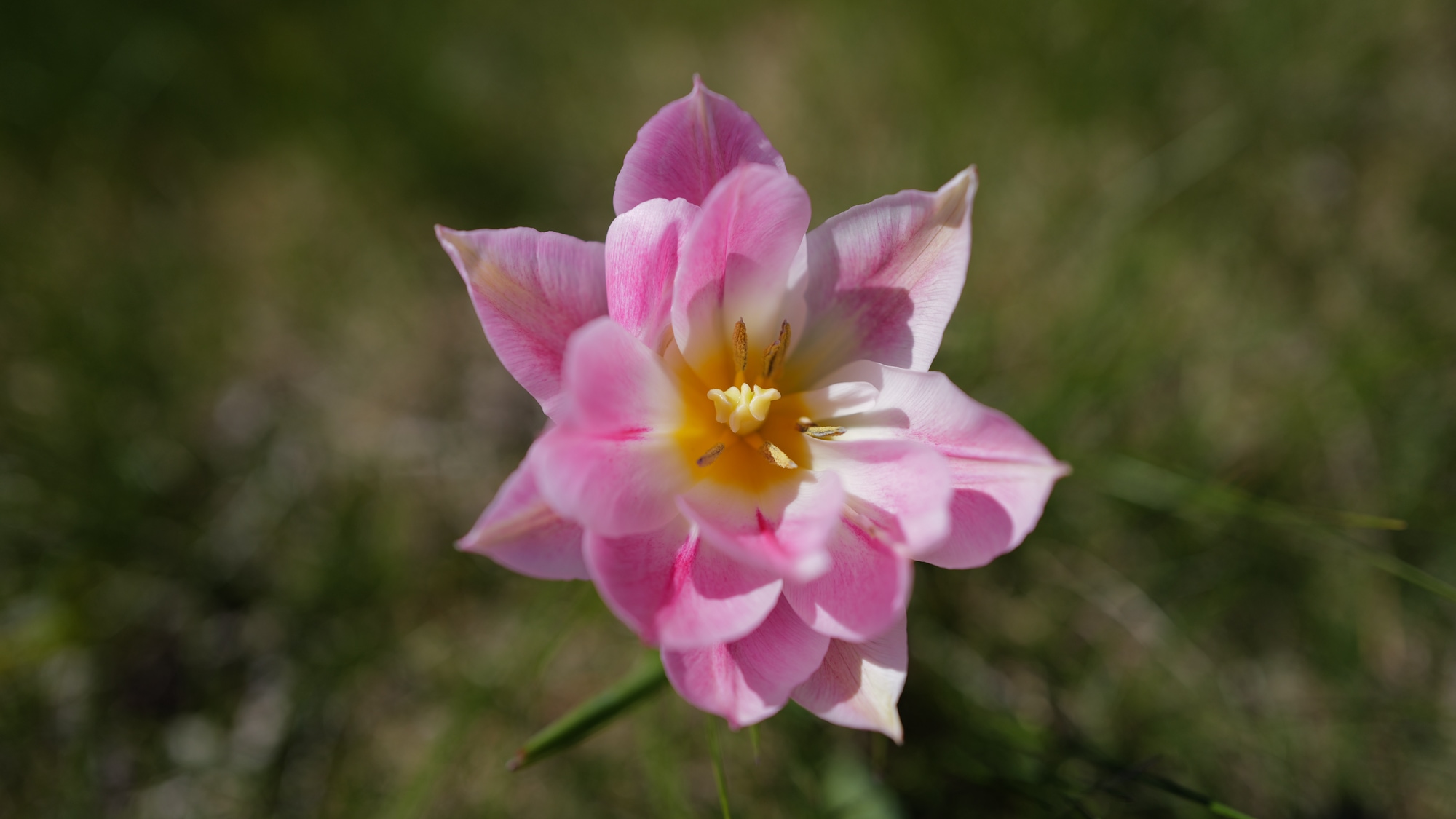 A photo taken at Standpromenaden in Vadstena.
