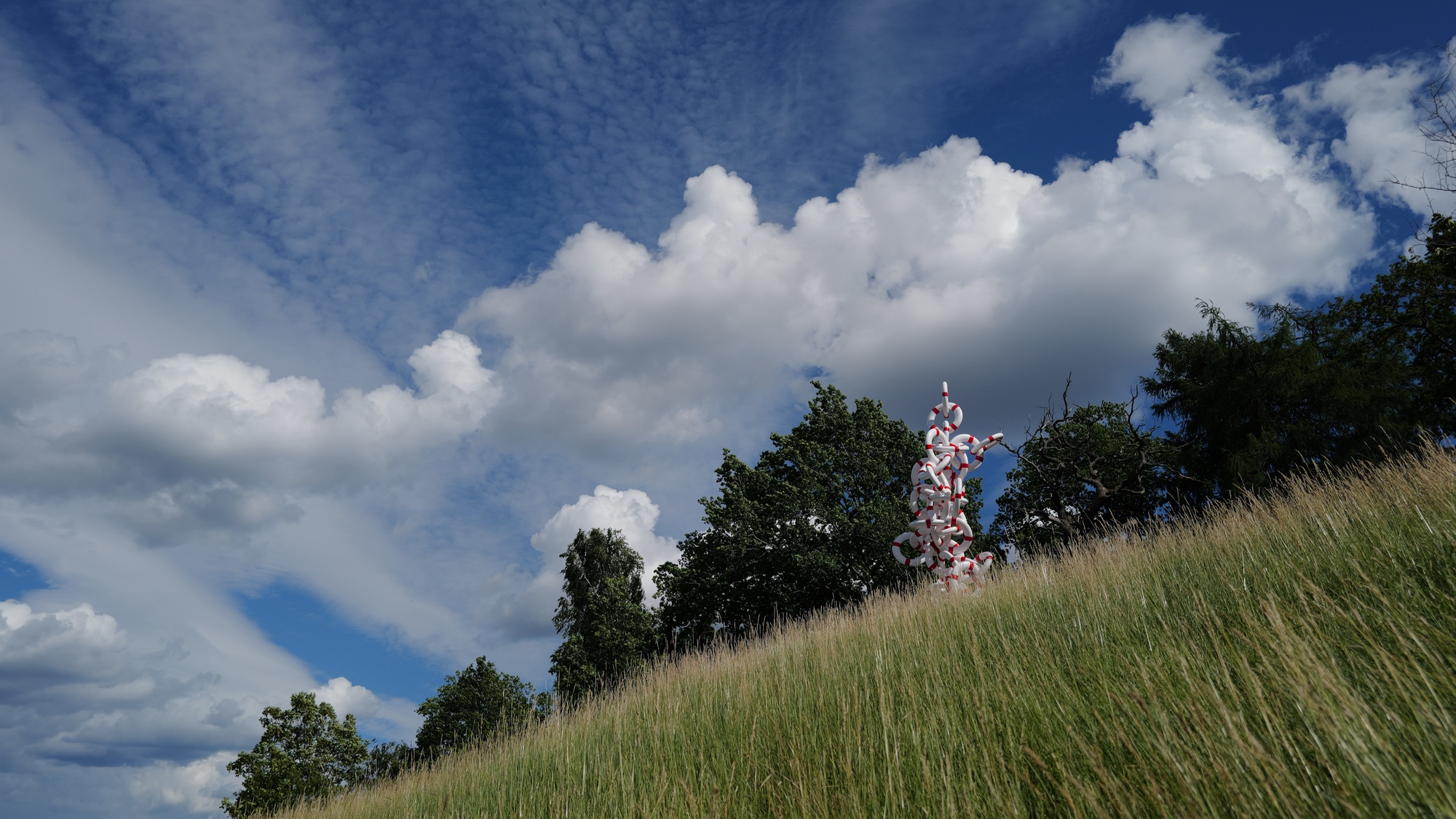 A photo taken of Life Rings in Djurgården in Stockholm.