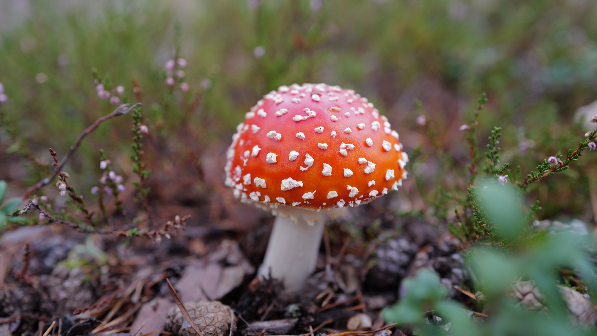 A photo taken at Artipelag in Stockholms skärgård.